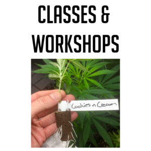Classes & Workshops