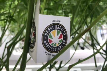 Cannabis IPM