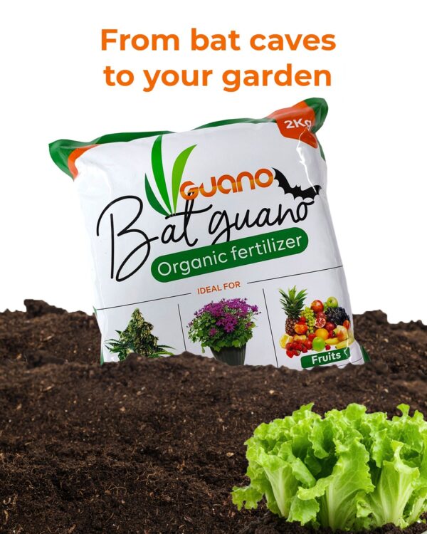 Bat Guano Organic Fertilizer - Image 3