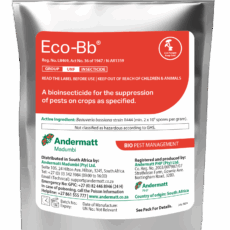 Eco-BB